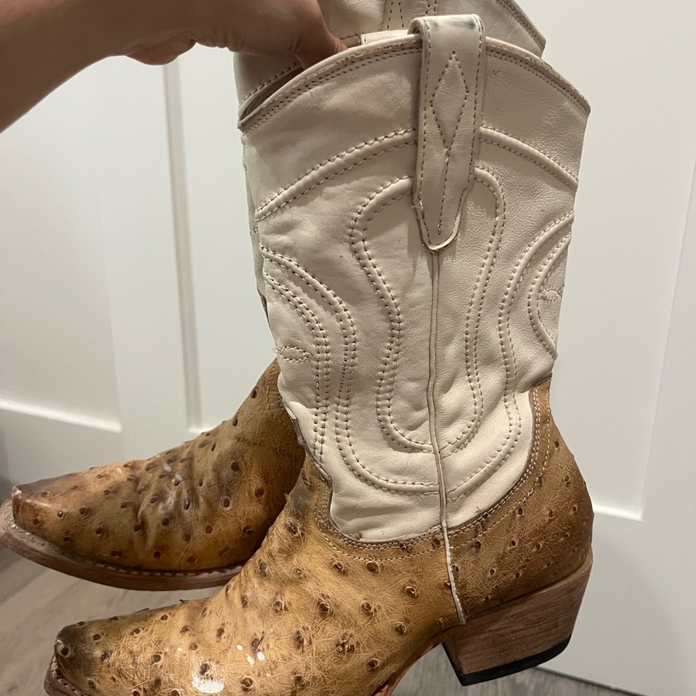 FreeBird Ostrich ‘Warrick’ Boots